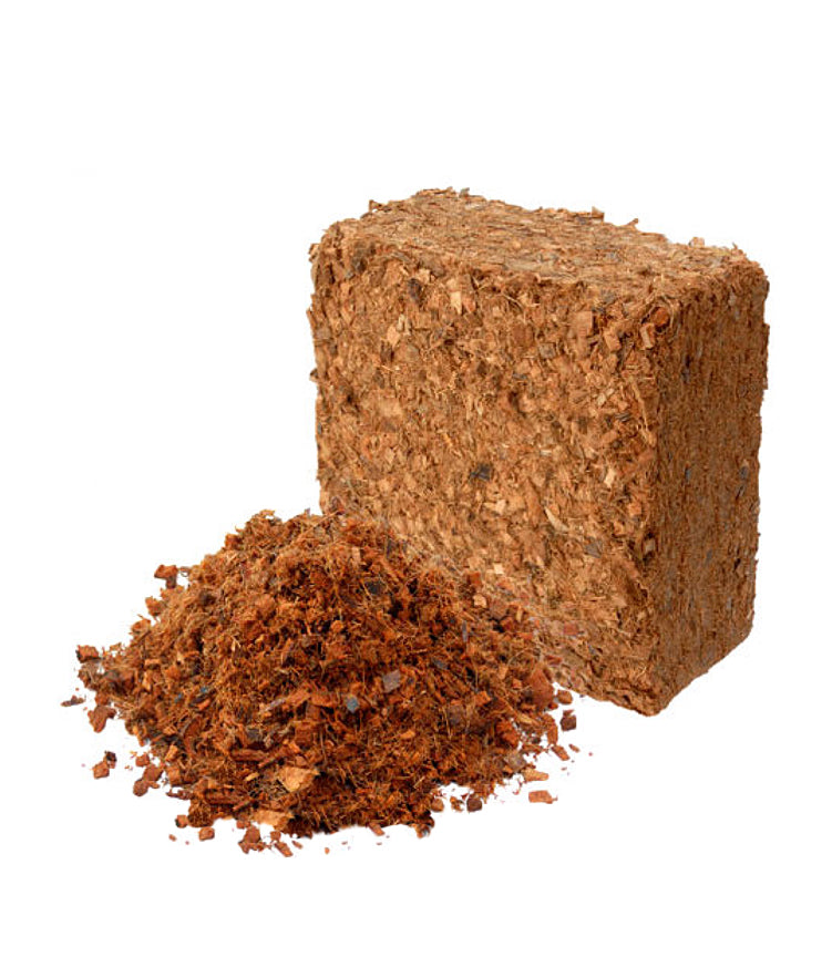 Coco House Coco Fibre Husk Chips 55L Brick