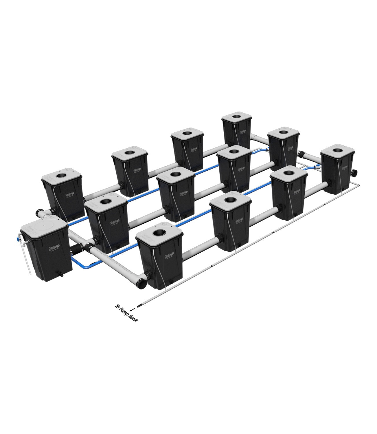 Current Culture UC EVO 12XXL 13