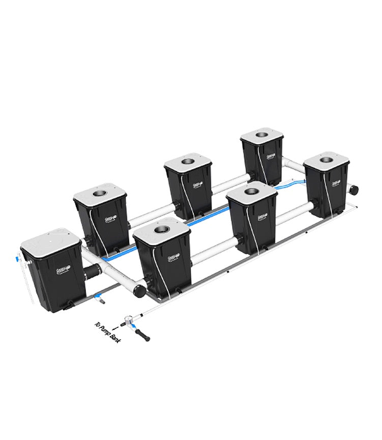 Current Culture UC 6XXL 13
