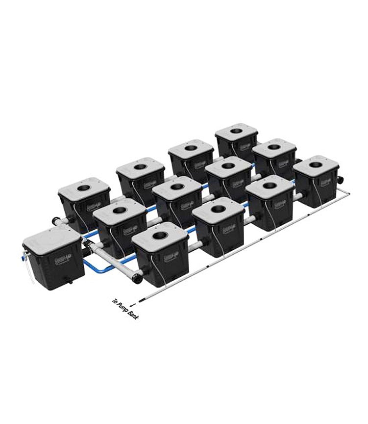 Current Culture UC EVO 12XL