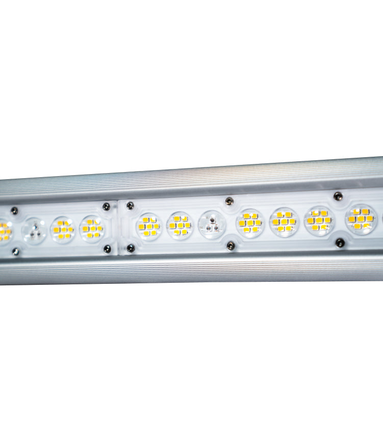 Fohse F1V LED Grow Light 1000w