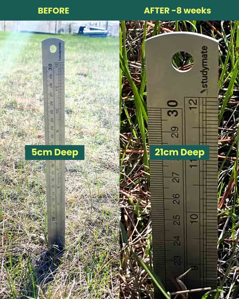 Clay Fixer