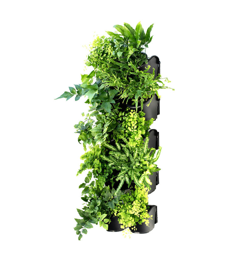 10 Pot Greenwall Kit (Connect-A-Pot)