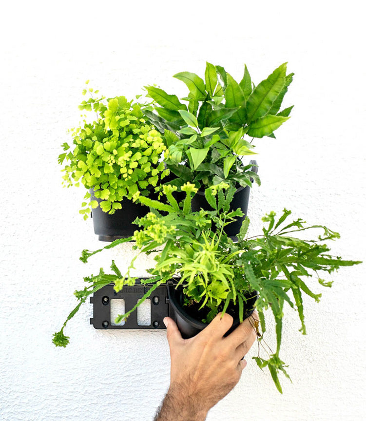 4 Pot Greenwall Kit (Connect-A-Pot)