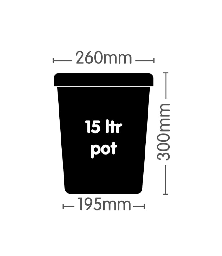 Nutrifield Auto Feed Pot 15L