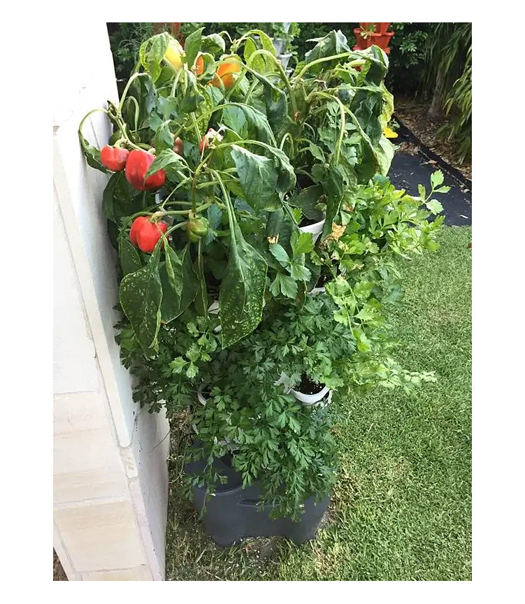 Smart Farm Hydroponic Tower Garden