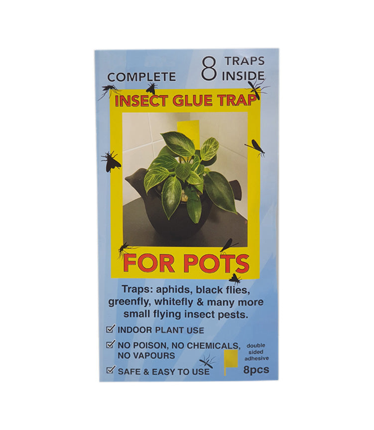 Indoor Insect Glue Trap For Pots 8pk