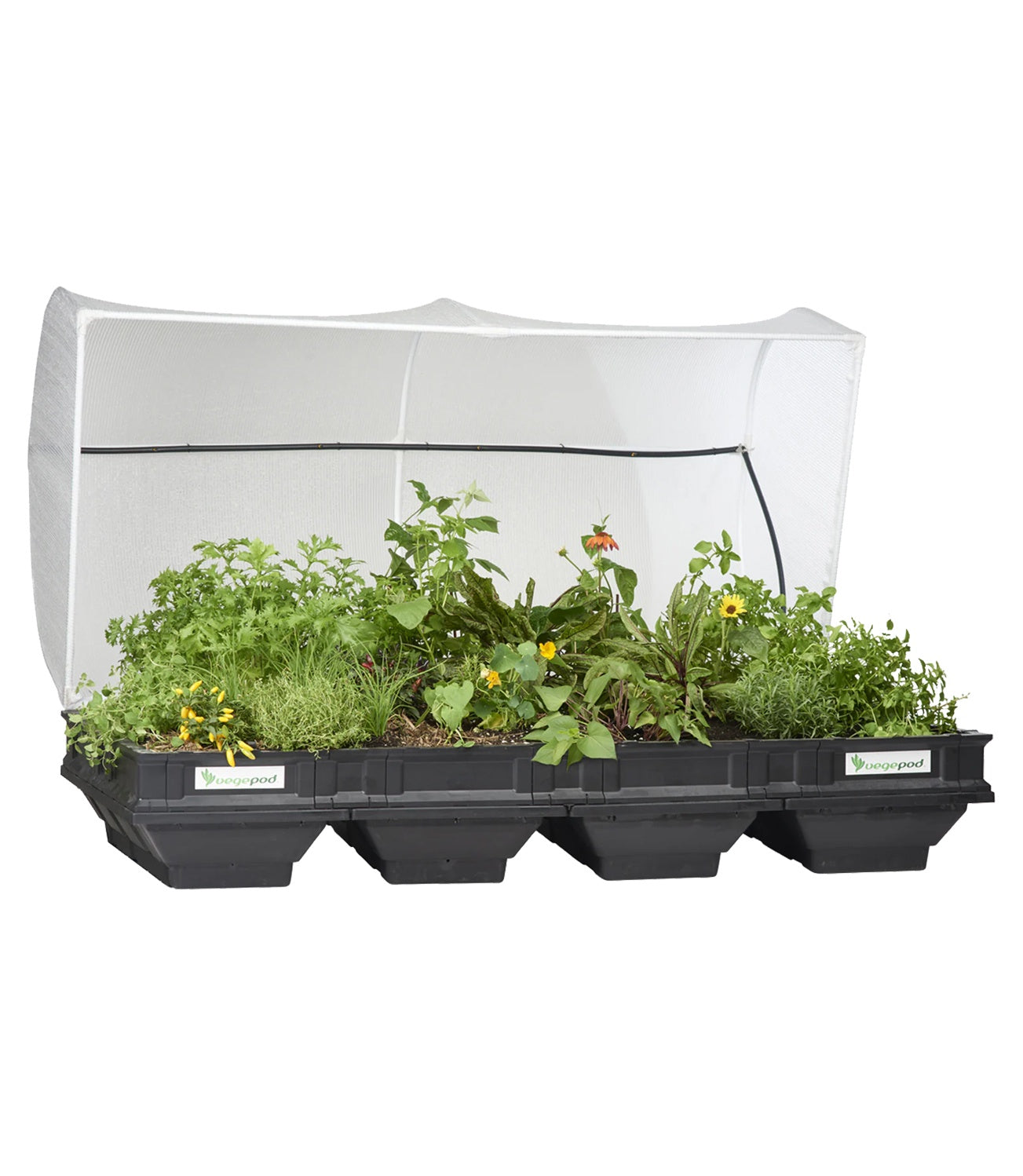 Vegepod Vegepod Raised Garden Bed with VegeCover Large 2m x 1m