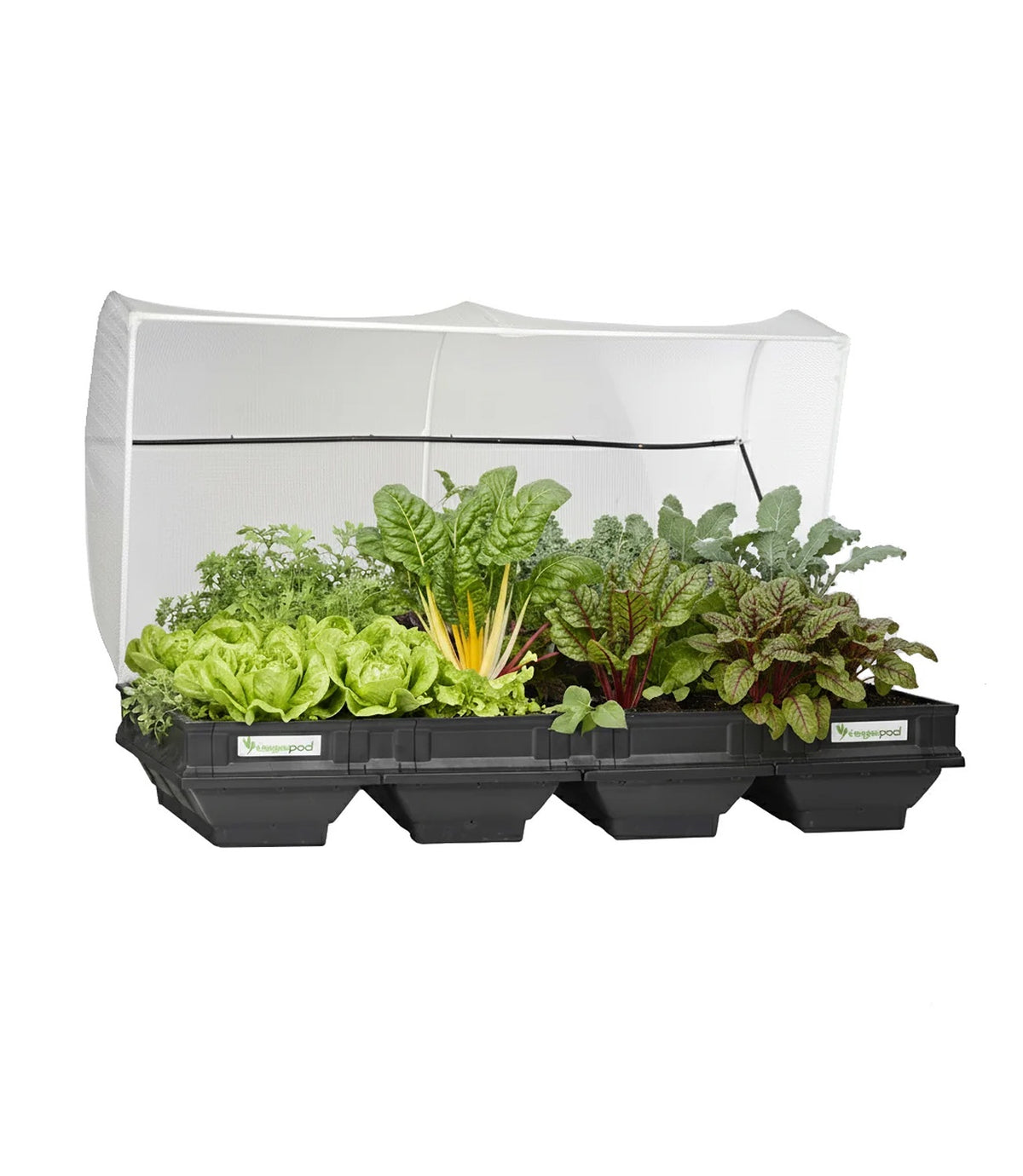 Vegepod Raised Garden Bed with Cover Large 2m x 1m