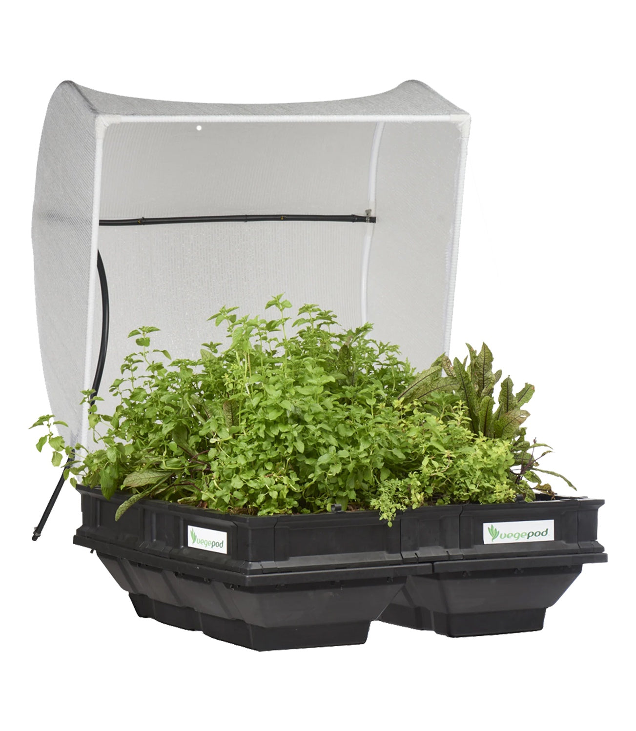Vegepod Raised Garden Bed with VegeCover Medium 1m x 1m