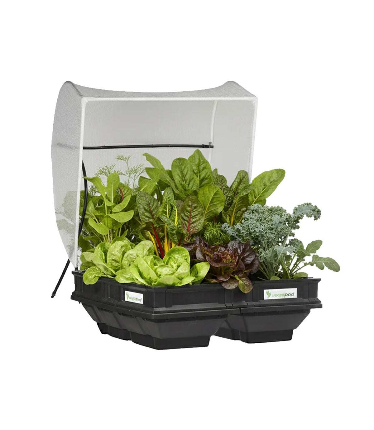 Vegepod Raised Garden Bed with Cover Medium 1m x 1m
