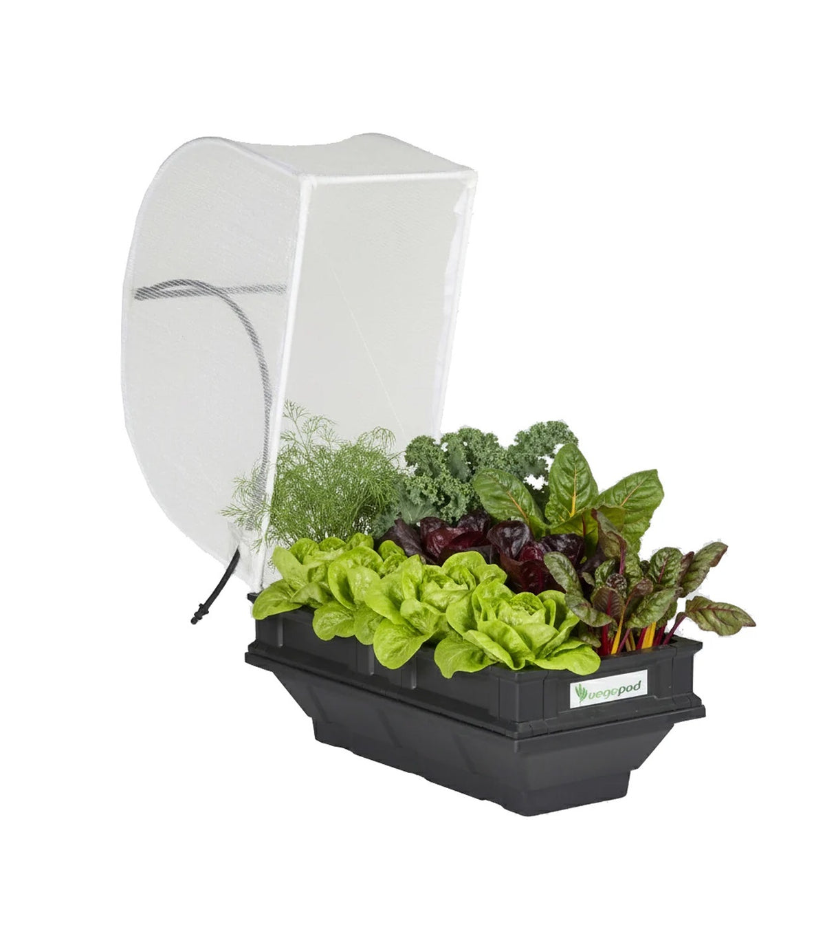 Vegepod Raised Garden Bed with Cover Small 0.5m x 1m