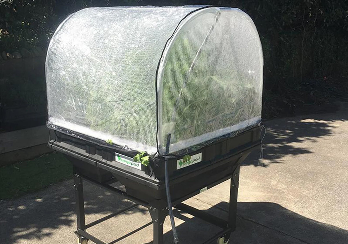 Vegepod Hothouse Cover for Raised Garden Bed Medium