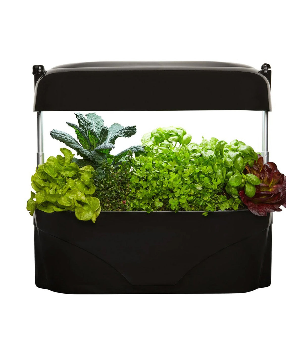 Vegepod Kitchen Garden
