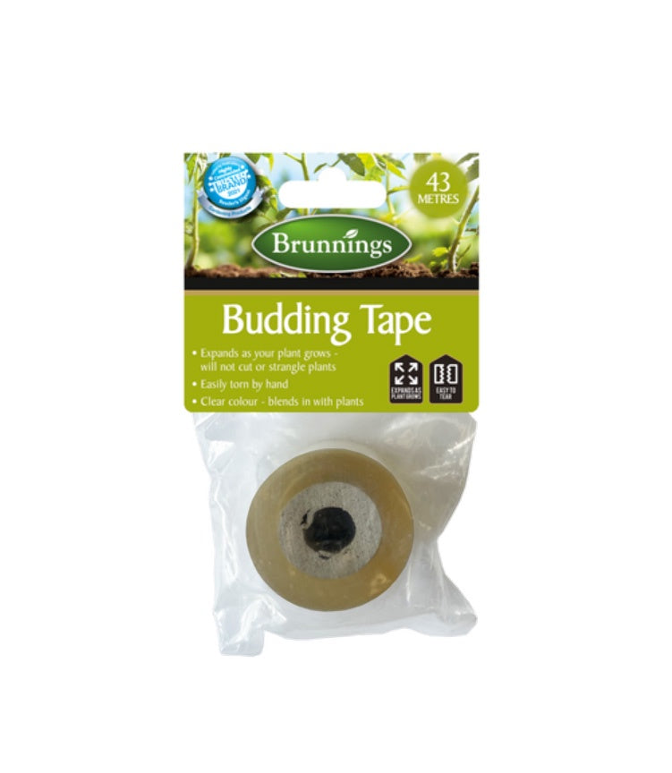 Budding Tape Clear