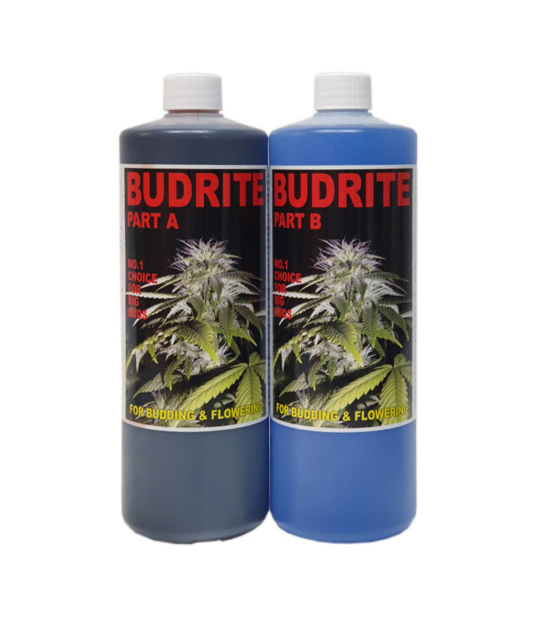Budrite A & B