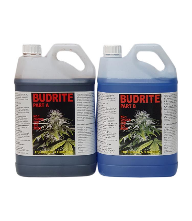 Budrite A & B