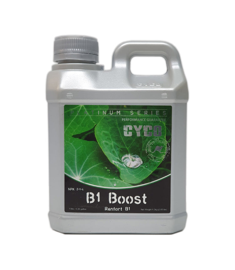 Cyco B1 Boost