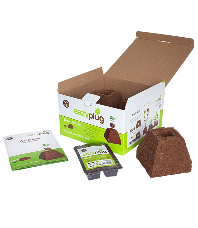 Eazy Plug - Sea of Green Set