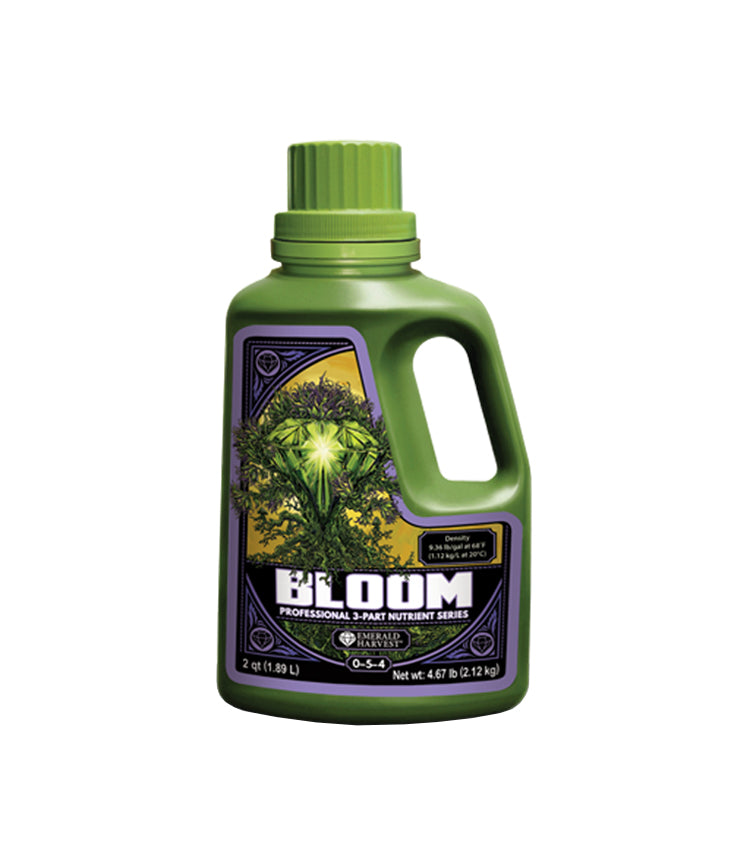 Emerald Harvest Bloom