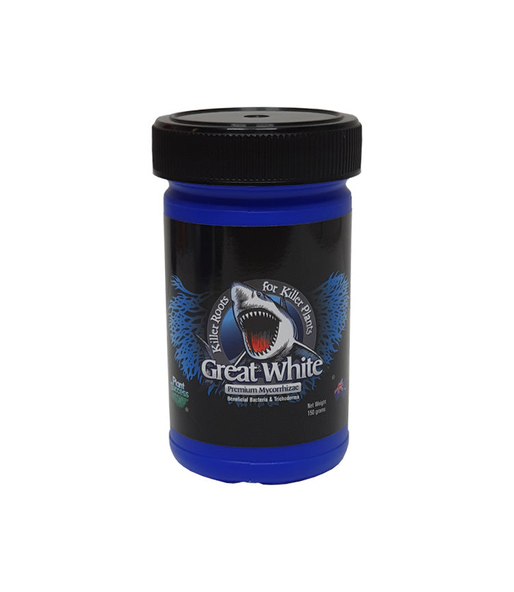 Great White Mycorrhizae