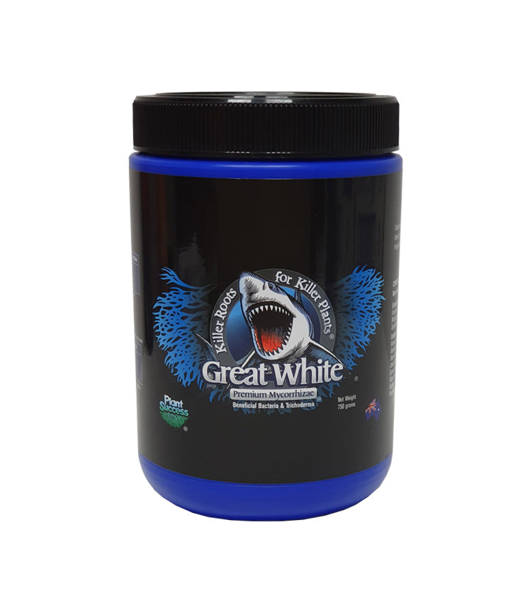 Great White Mycorrhizae