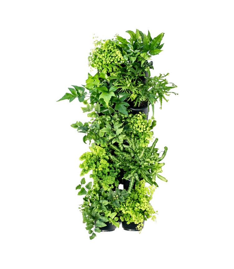 10 Pot Greenwall Kit (Connect-A-Pot)