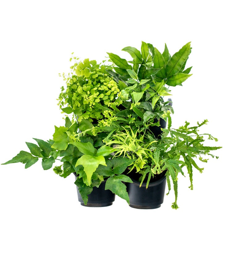 4 Pot Greenwall Kit (Connect-A-Pot)