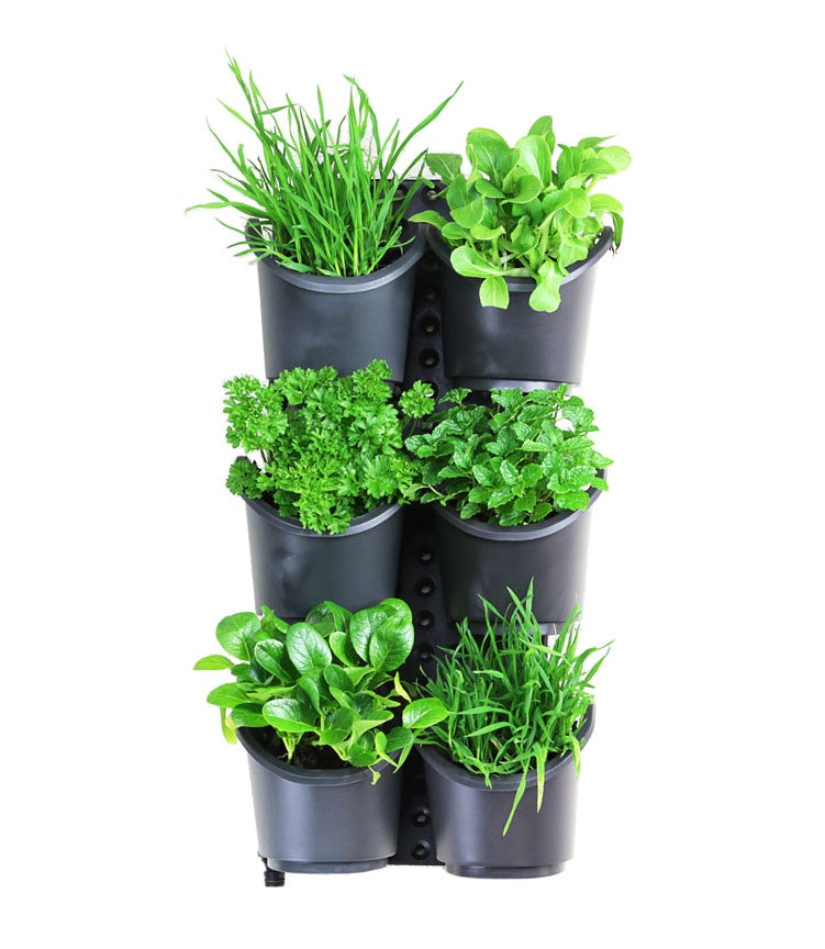 Greenwall Slimline Garden Kit (6 Pots)