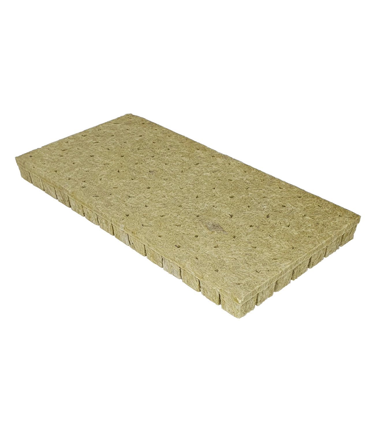 Grodan 40mm AO Plug 36/36 Tray of 98