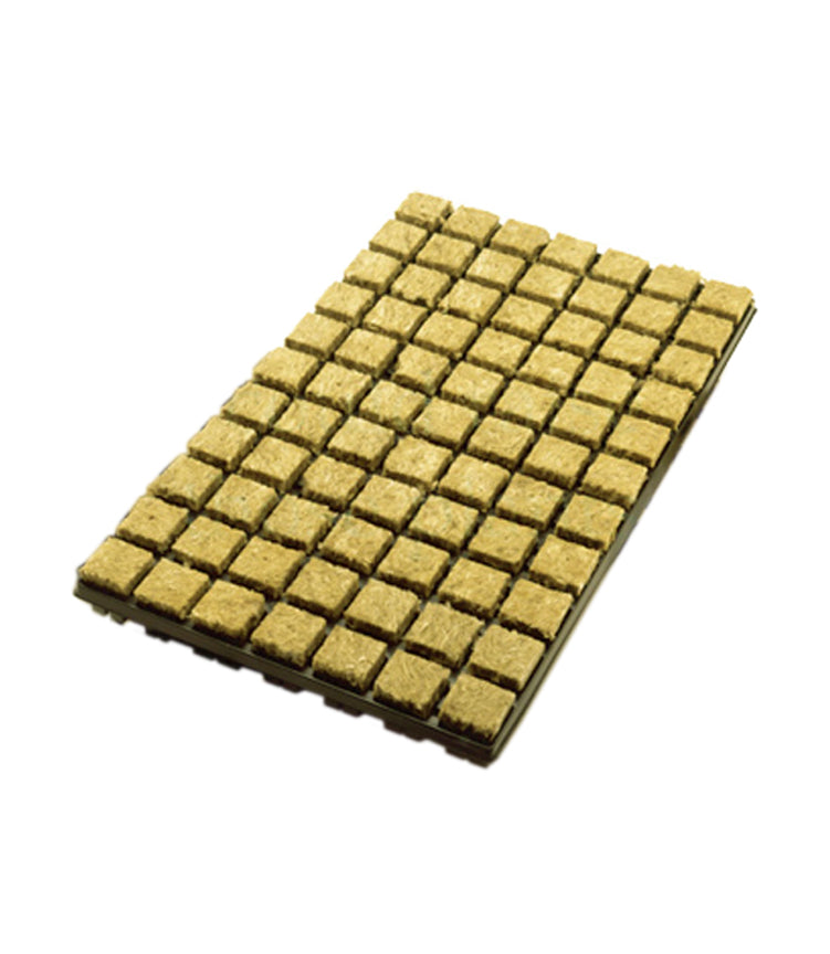 Grodan SBS Plug 36/36 Tray of 77