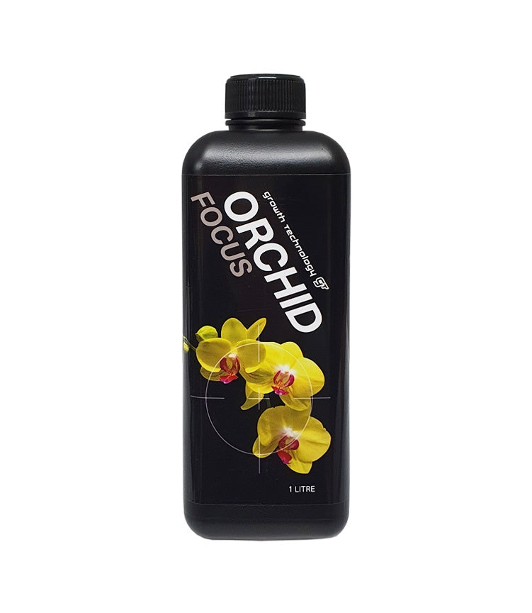 GT Orchid Focus