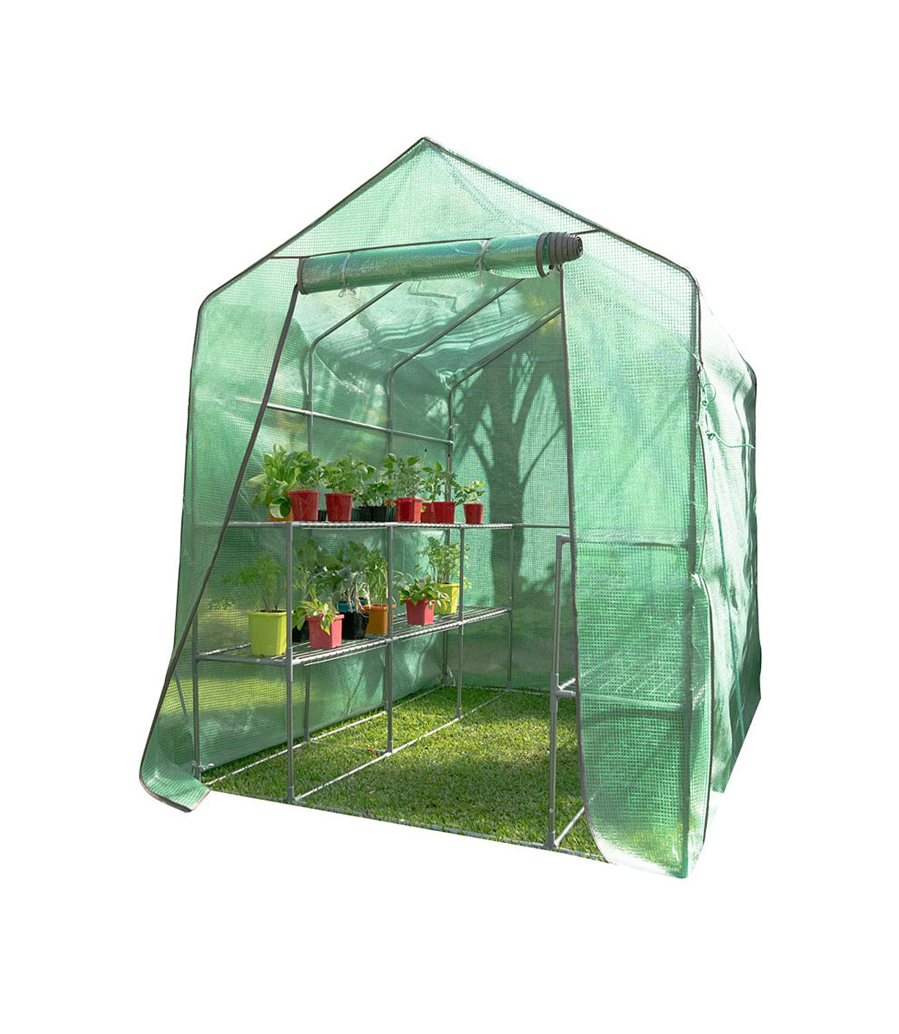 Large Walk-In Green House 2mtr