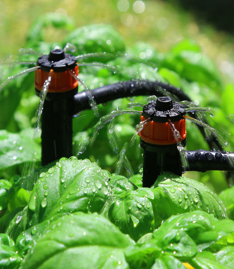 Holman Shrubbler Dripper on Spike 5 Pack