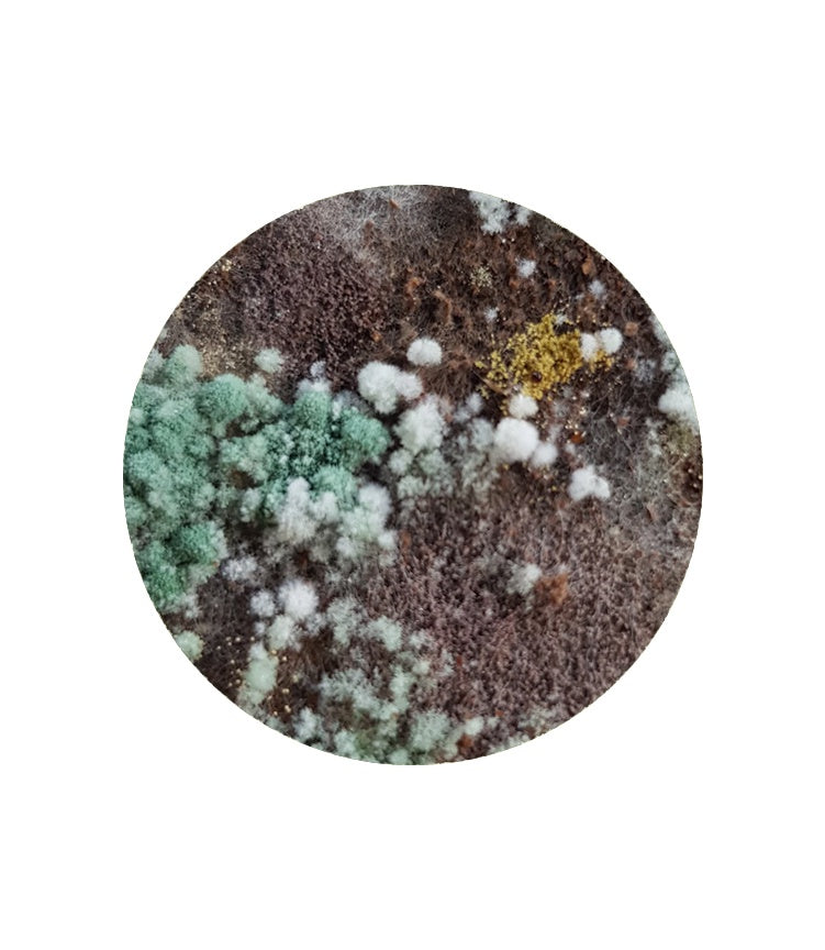 OGS Coffee Grinds 1Kg