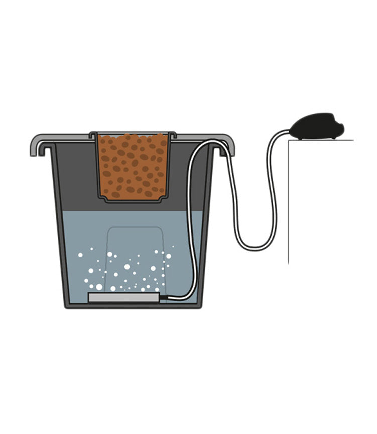 Plantit Aeros Deep Water Culture Module with Aerator Kit