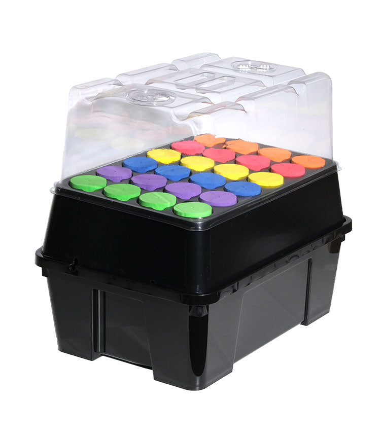 Seahawk Clone Station 24