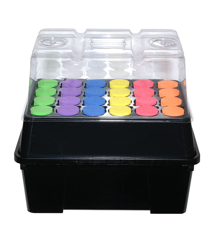 Seahawk Clone Station 24