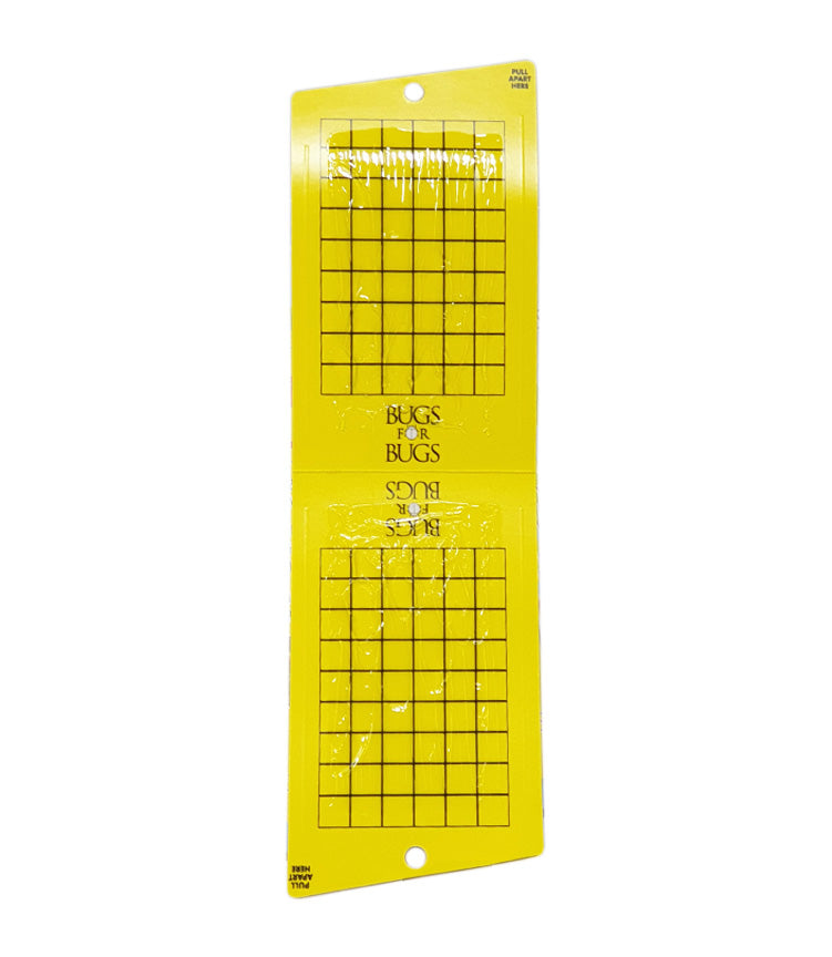 Bugs4Bugs Yellow Sticky Fly Trap