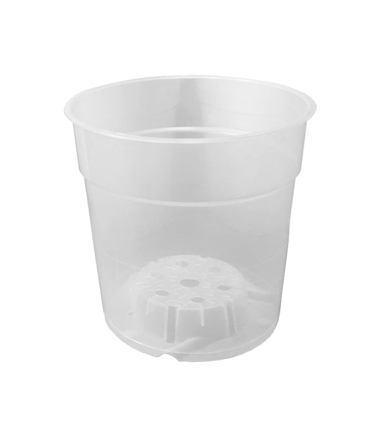 Teku Transparent Pot