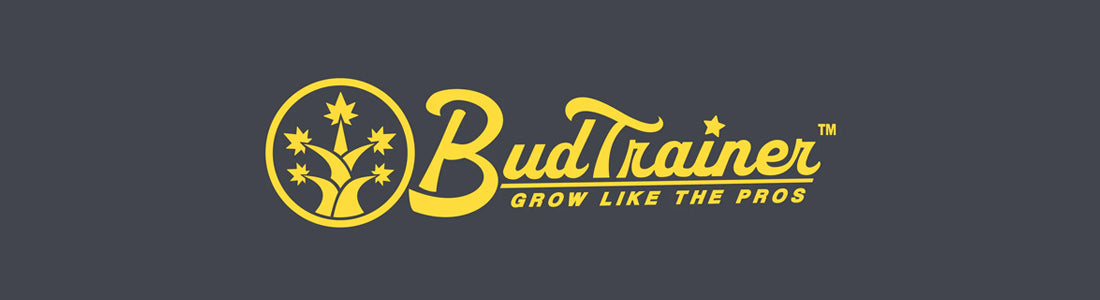 Bud Trainer