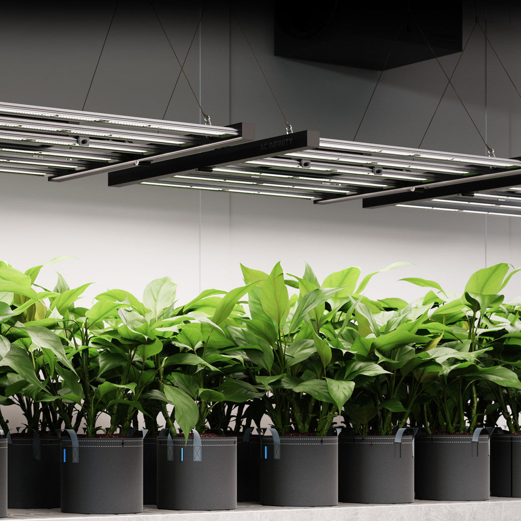 AC Infinity Ionframe EVO8 730W LED