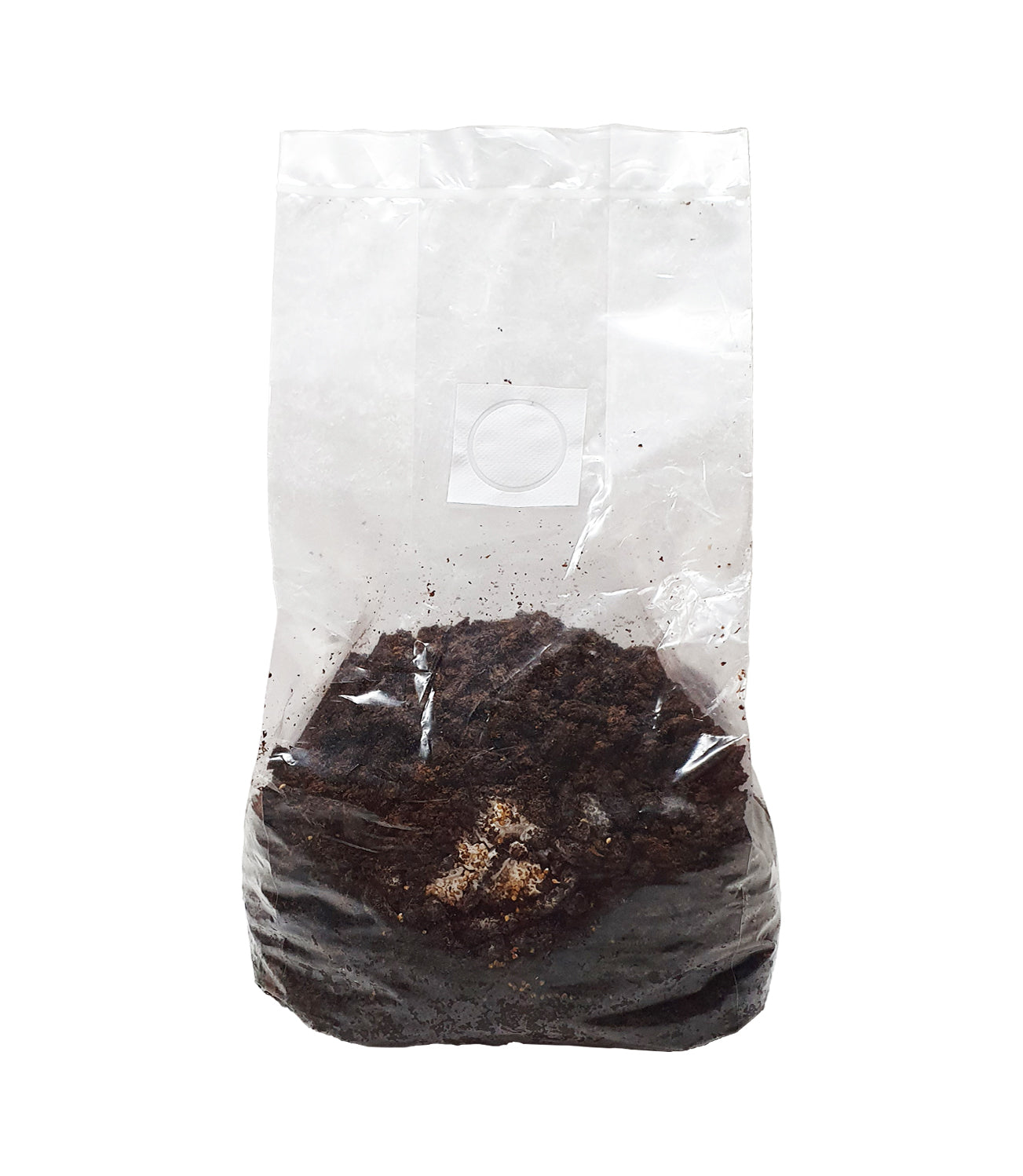Aussie Mushroom CO2 Bag