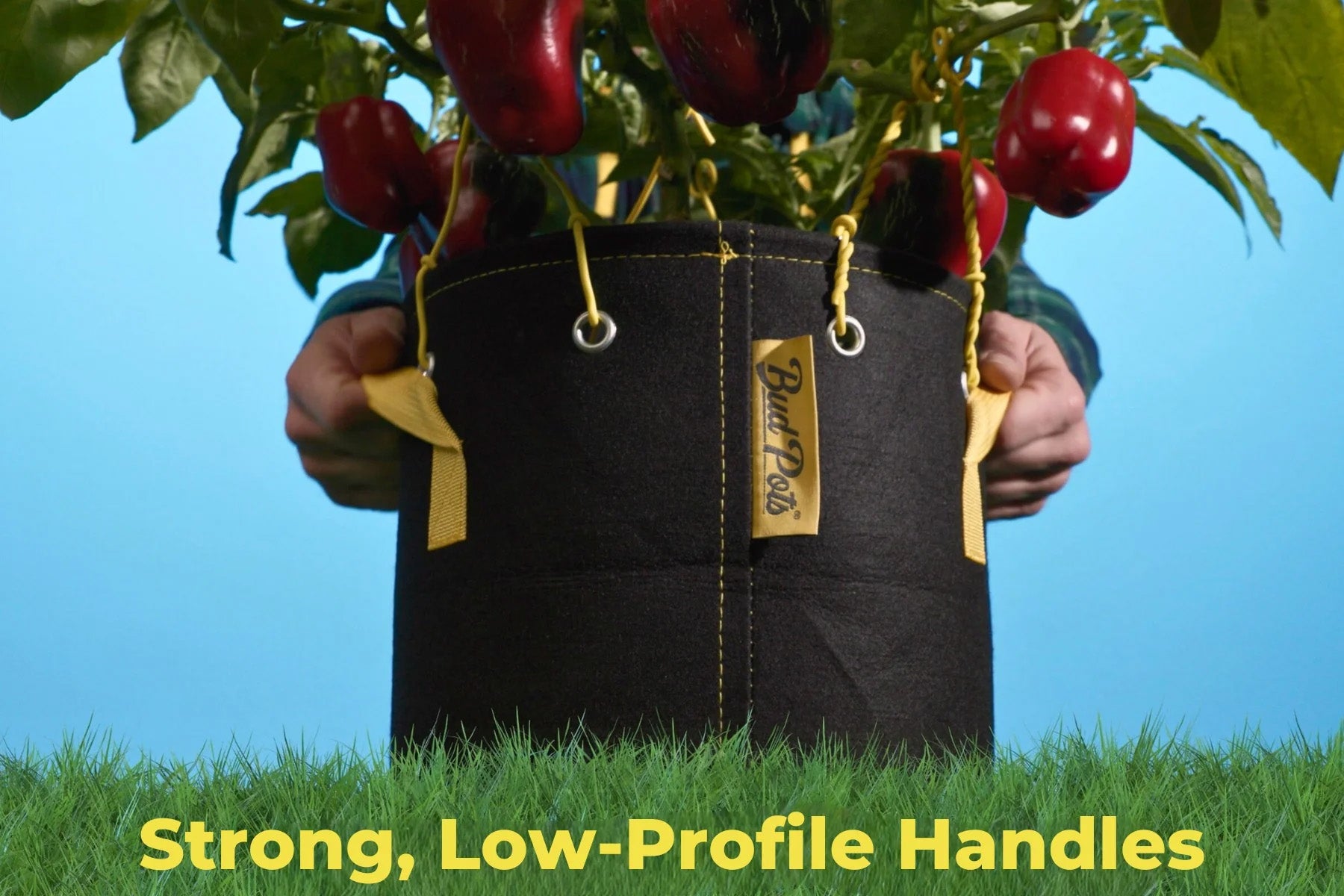 Bud Trainer Fabric BudPots