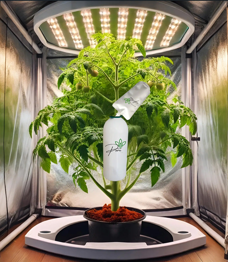co2 for plants indoor Pure CO2 Starter Pack