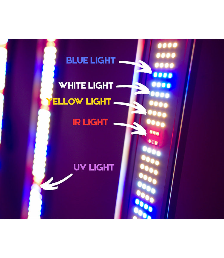 Eagle Photon 1200W 12 Bars LED Grow Light Foldable | Samsung LM281B | Full Spectrum