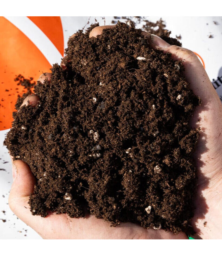 Easy As Organics Living Soil ~ KiS Mix 25L