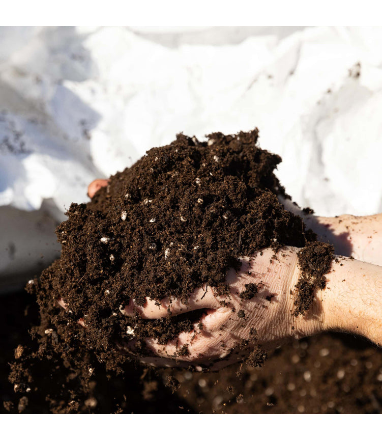 Easy As Organics Living Soil ~ KiS Mix 25L