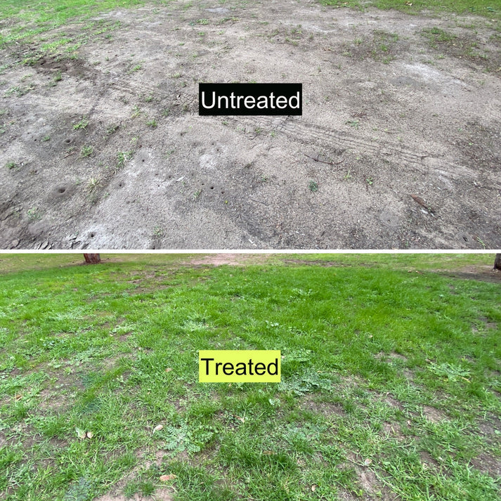 Liquid BioChar