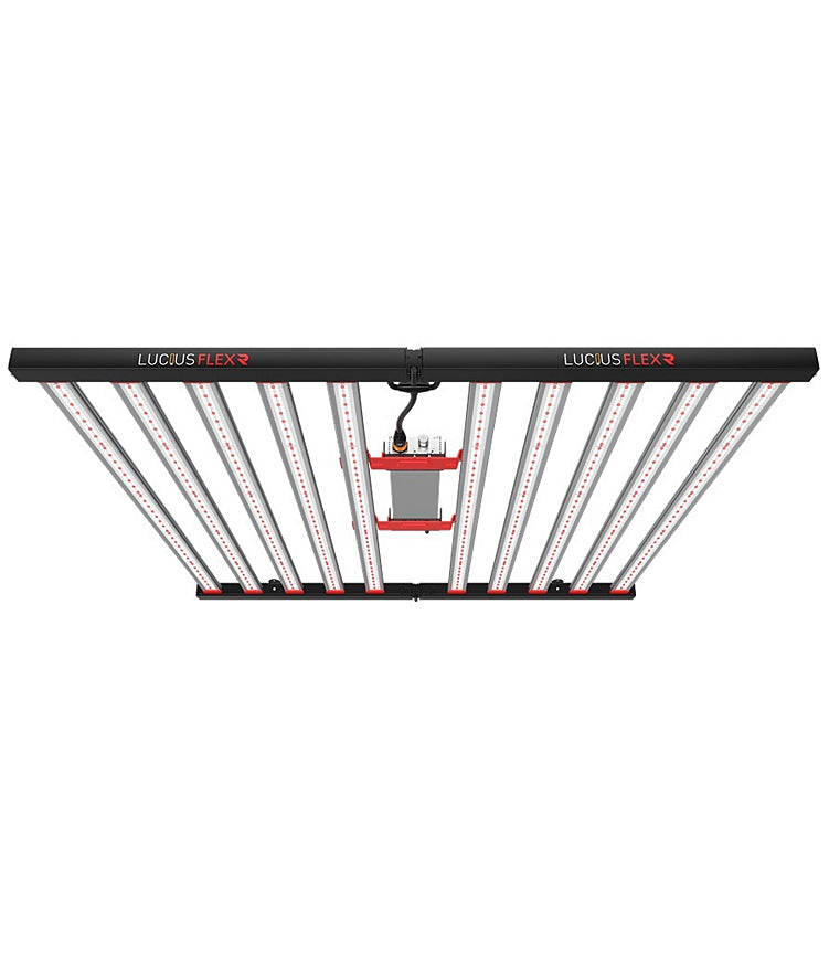 Lucius Flex R 10 Bar LED 1000w